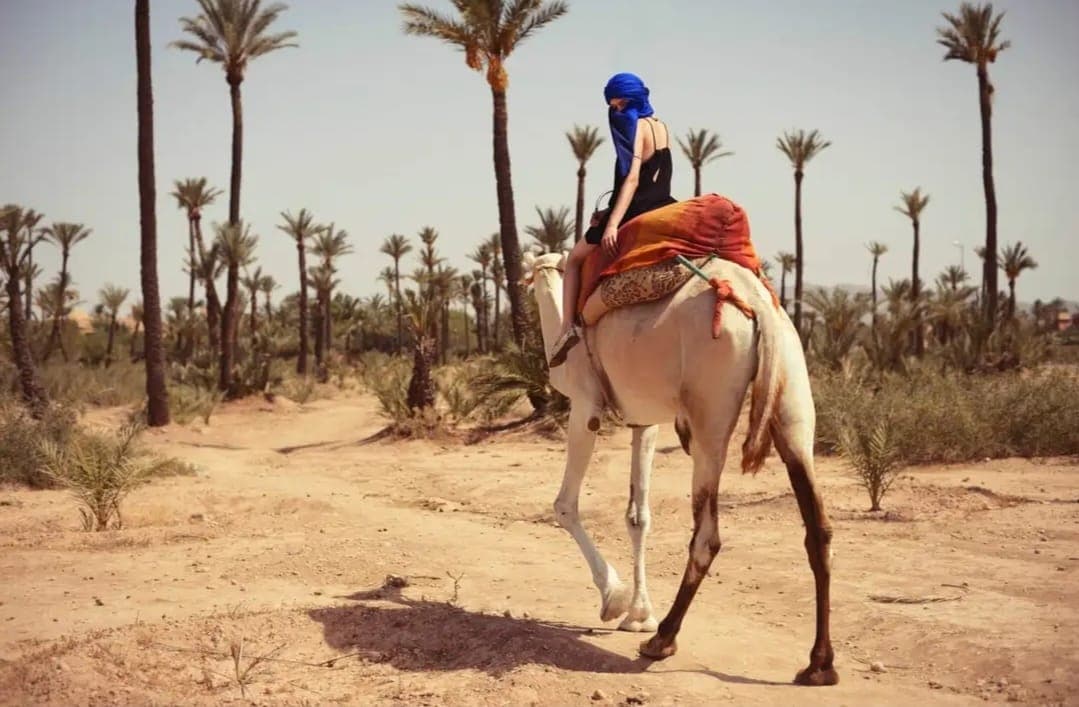 Balade dromadaire Marrakech 3