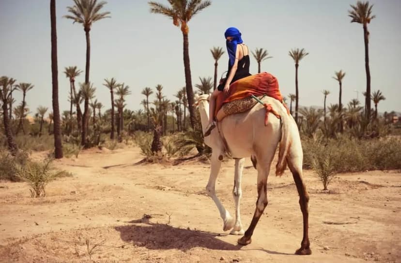 Balade dromadaire Marrakech 3